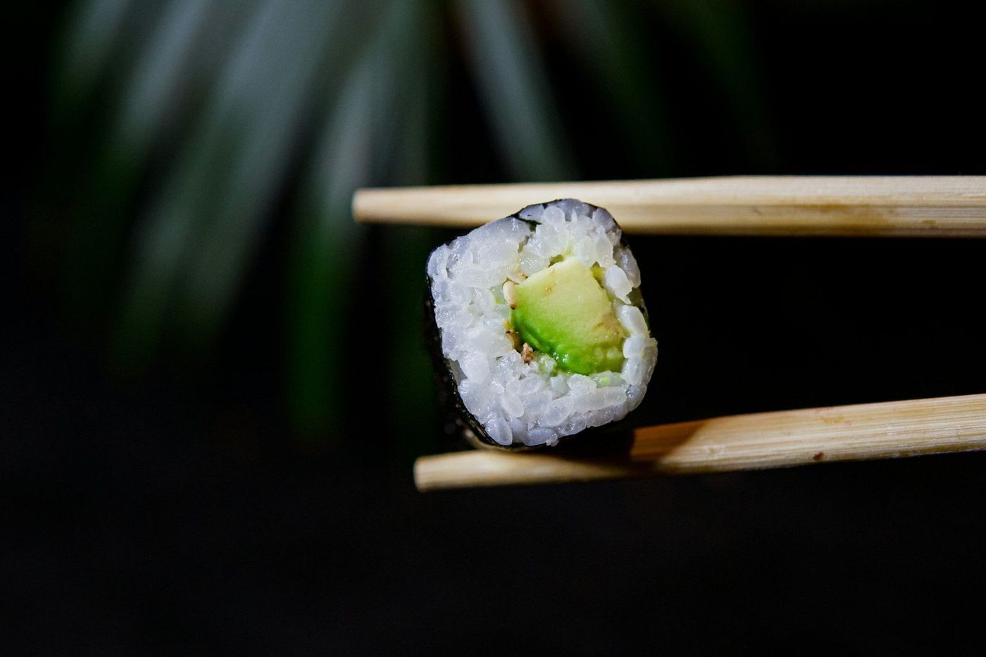 Avocado Maki